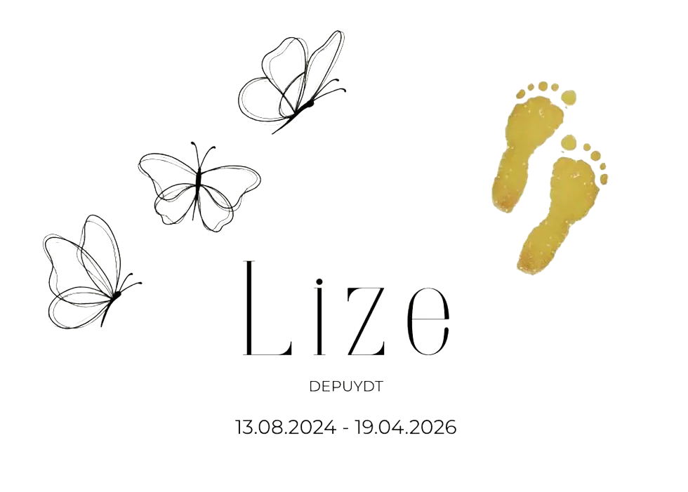 Lize, 13.08.2024 - 19.04.2026